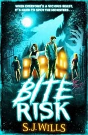 Bit Risk S J Wills