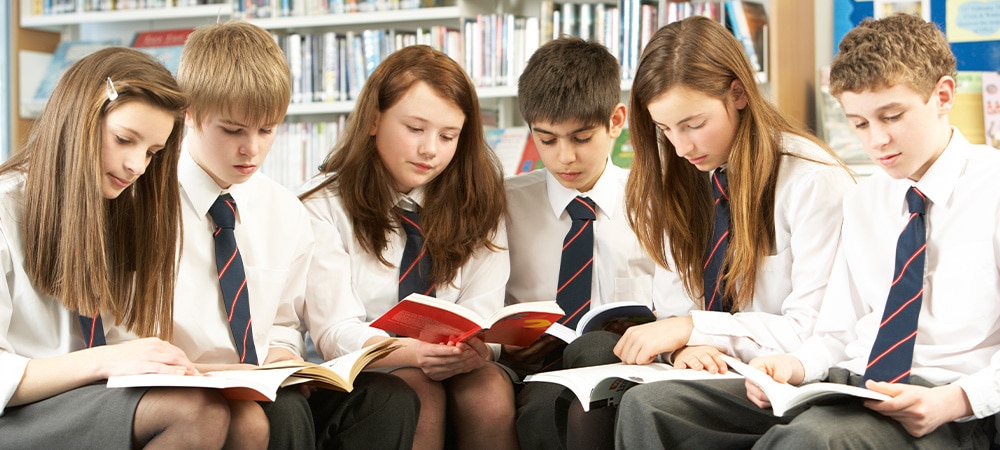 Secondary school readers